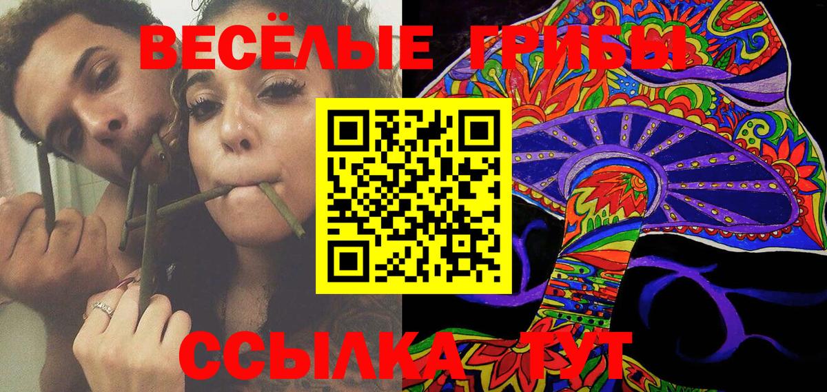 Псилоцибиновые грибы MAGIC MUSHROOMS  Вход с VPN  Белореченск 